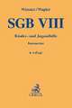 SGB VIII