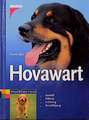 Hovawart