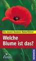 Welche Blume ist das?