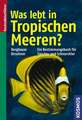 Was lebt in Tropischen Meeren?