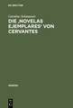 Die 'Novelas ejemplares' von Cervantes: Wahrnehmung und Perspektive in der spanischen Novellistik der frühen Neuzeit