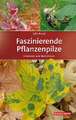 Faszinierende Pflanzenpilze