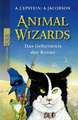 Animal Wizards. Das Geheimnis der Krone