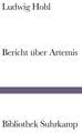 Bericht über Artemis