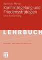 Konfliktregelung und Friedensstrategien: Eine Einführung