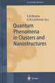 Quantum Phenomena in Clusters and Nanostructures