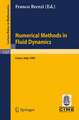 Numerical Methods in Fluid Dynamics: Lectures given at the 3rd 1983 Session of the Centro Internationale Matematico Estivo (CIME) held at Como, Italy, July 7-15, 1983