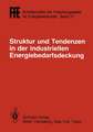 Struktur und Tendenzen in der industriellen Energiebedarfsdeckung: VDI/VDE/GFPE-Tagung in Schliersee am 6./7. Mai 1985