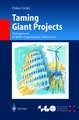 Taming Giant Projects: Management of Multi-Organization Enterprises