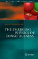 The Emerging Physics of Consciousness