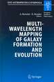 Multiwavelength Mapping of Galaxy Formation and Evolution: Proceedings of the ESO Workshop Held at Venice, Italy, 13-16 October 2003