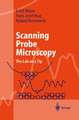 Scanning Probe Microscopy: The Lab on a Tip