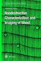 Nondestructive Characterization and Imaging of Wood