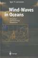 Wind-Waves in Oceans: Dynamics and Numerical Simulations