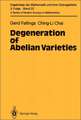 Degeneration of Abelian Varieties