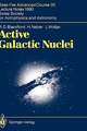 Active Galactic Nuclei: Saas-Fee Advanced Course 20. Lecture Notes 1990. Swiss Society for Astrophysics and Astronomy