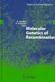 Molecular Genetics of Recombination