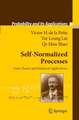 Self-Normalized Processes: Limit Theory and Statistical Applications