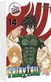 Fairy Tail Massiv 14