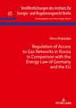 Regulation of Access to Gas Networks in Russia in Comparison with the Energy Law of Germany and the EU