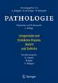 Pathologie: Urogenitale und Endokrine Organe, Gelenke und Skelett