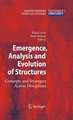 Emergence, Analysis and Evolution of Structures: Concepts and Strategies Across Disciplines