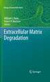 Extracellular Matrix Degradation