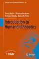 Introduction to Humanoid Robotics