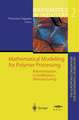 Mathematical Modelling for Polymer Processing: Polymerization, Crystallization, Manufacturing