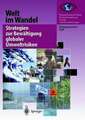 Welt im Wandel: Strategien zur Bewältigung globaler Umweltrisiken: Jahresgutachten 1998