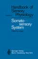 Somatosensory System