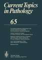 Current Topics in Pathology: Continuation of Ergebnisse der Pathologie