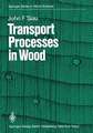 Transport Processes in Wood