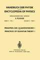 Prinzipien der Quantentheorie I / Principles of Quantum Theory I