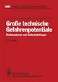 Große technische Gefahrenpotentiale: Risikoanalysen und Sicherheitsfragen