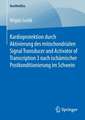 Kardioprotektion durch Aktivierung des mitochondrialen Signal Transducer and Activator of Transcription 3 nach ischämischer Postkonditionierung im Schwein