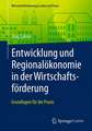 Entwicklung und Regionalökonomie in der Wirtschaftsförderung: Grundlagen für die Praxis 