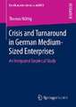 Crisis and Turnaround in German Medium-Sized Enterprises: An Integrated Empirical Study