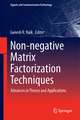 Non-negative Matrix Factorization Techniques: Advances in Theory and Applications