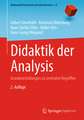 Didaktik der Analysis
