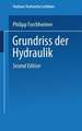 Grundriss der Hydraulik