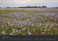 Natur erleben Seewinkel-Neusiedlersee (Wandkalender 2023 DIN A3 quer)