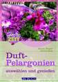 Duftpelargonien auswählen und genießen