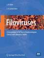 Filoviruses: A Compendium of 40 Years of Epidemiological, Clinical, and Laboratory Studies