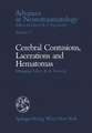 Celebral Contusions, Lacerations and Hematomas