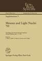 Mesons and Light Nuclei ’95: Proceedings of the 6th International Conference, Stráž pod Ralskem, July 3–7, 1995