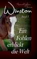 Winston - Ein Fohlen erblickt die Welt