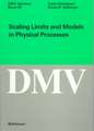 Scaling Limits and Models in Physical Processes