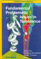 Fundamental Problematic Issues in Turbulence