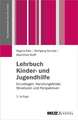 Lehrbuch Kinder- und Jugendhilfe